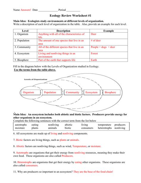 ecology review worksheet doc